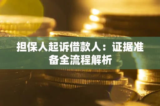 北京担保人起诉借款人：证据准备全流程解析
